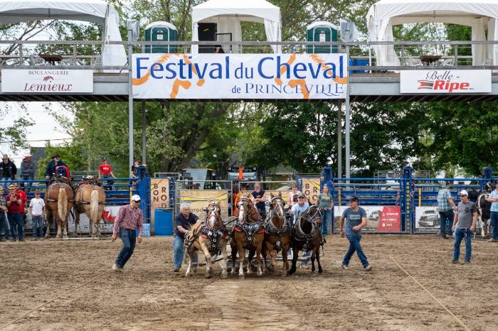 Une programmation haute en couleur pour le festival du Cheval de Princeville
