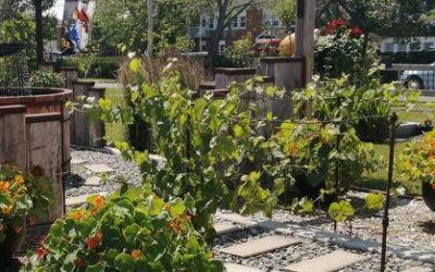 Les prix pour l’embellissement paysager sont de retour à Val-des-Sources