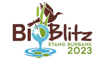 Entrevue avec Benjamin Laramée, Bioblitz à l’Étang Burbank