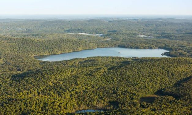 Dépôt du rapport du BAPE sur l’agrandissement du parc national du Mont-Orford