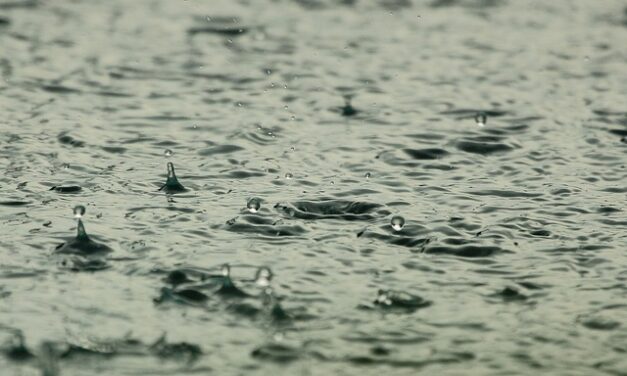 Un avertissement de pluie émis par Environnement Canada