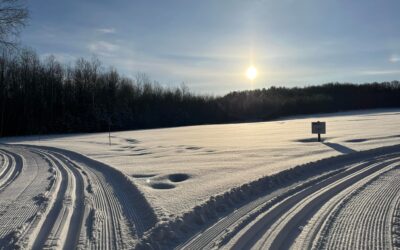 Des véhicules saccagent les pistes de ski de fond à Val-des-Sources
