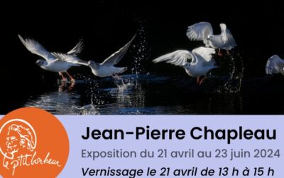 Vernissage de Jean-Pierre Chapleau au P’tit Bonheur