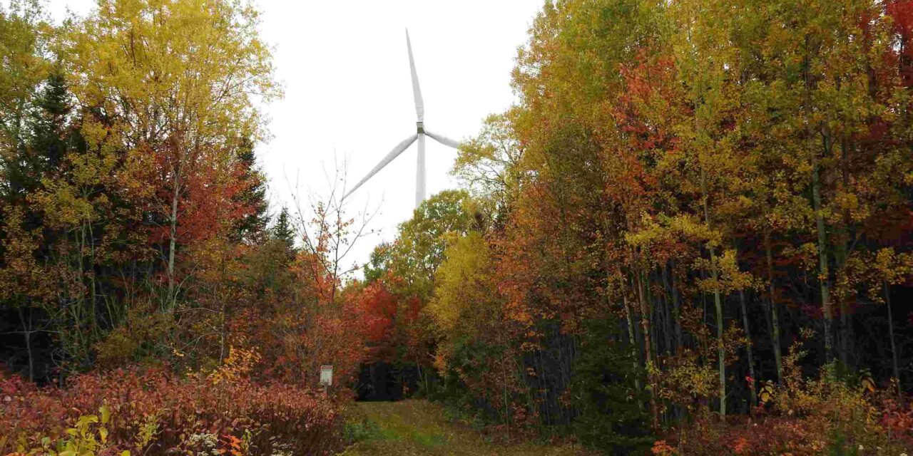 Innergex cible L’Érable pour un projet éolien