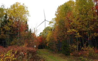 Innergex cible L’Érable pour un projet éolien