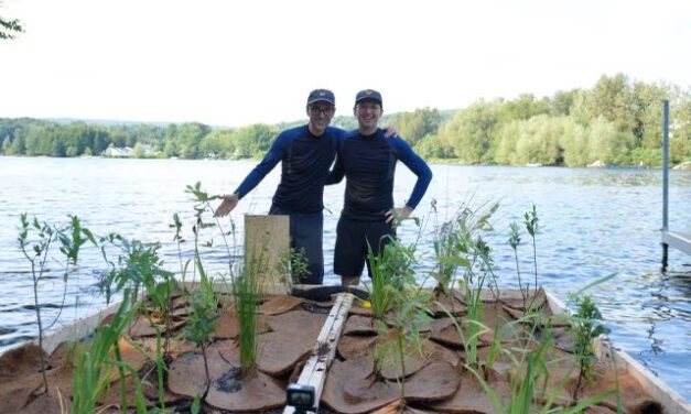 Les joyeux patenteux : une île filtrante à Dudswell