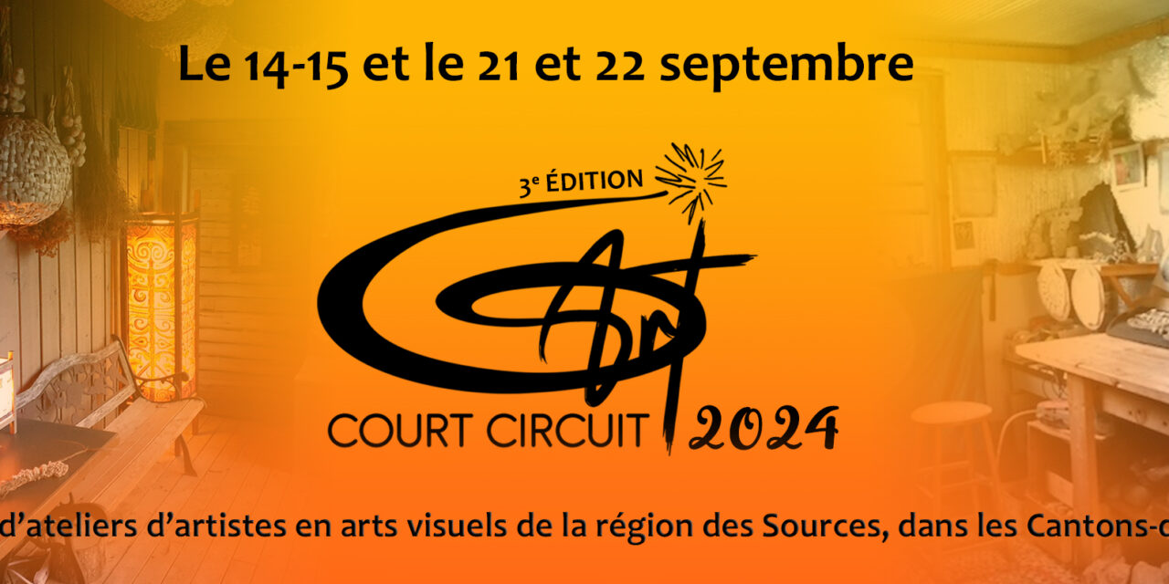 Entrevue avec Rebecca Lemay Dostie, 3e édition du Court Circuit d’Art