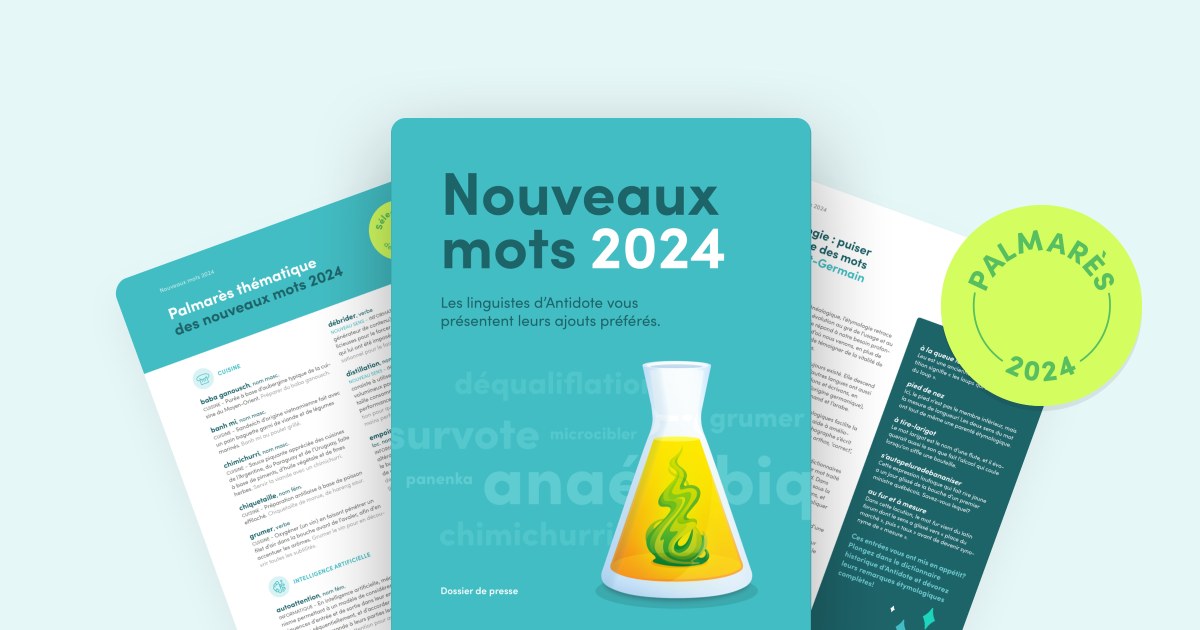 Entrevue avec Maud Pironneau, nouveaux mots de 2024 avec Druide Informatique