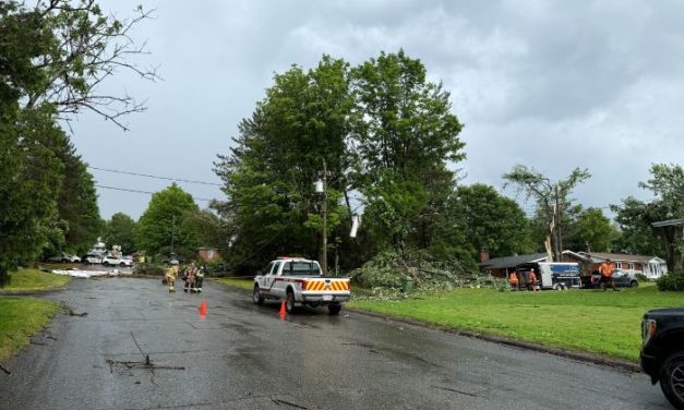 L’heure est au nettoyage et aux travaux à Danville