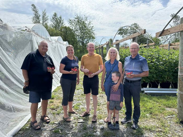 Une production de framboises hors-sol à Saint-Adrien