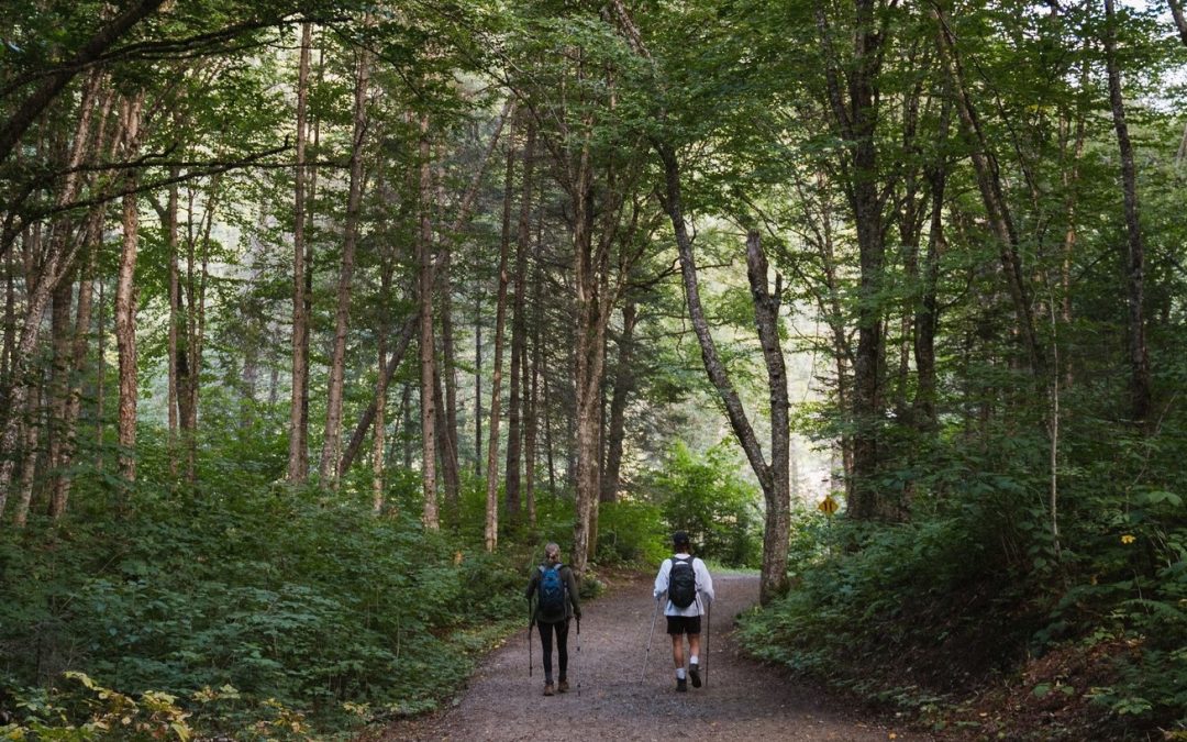 Avis de grève pour la Société des établissements de plein air du Québec