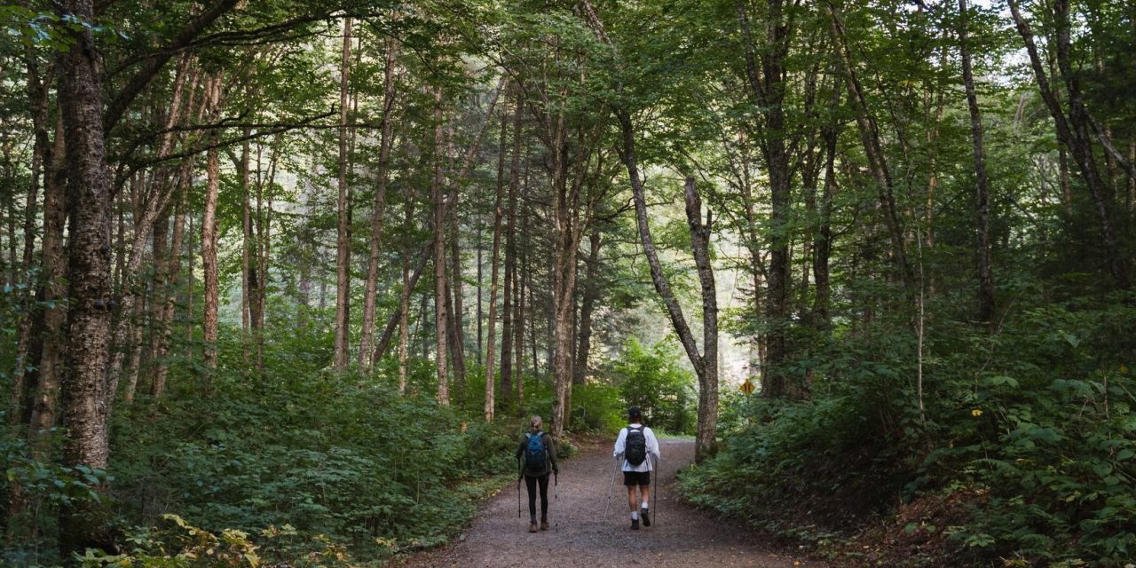 Avis de grève pour la Société des établissements de plein air du Québec