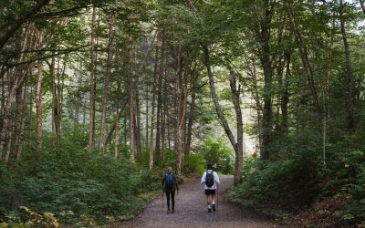 Avis de grève pour la Société des établissements de plein air du Québec