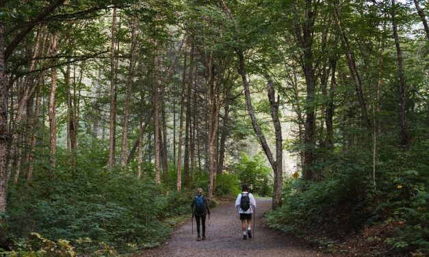 Avis de grève pour la Société des établissements de plein air du Québec