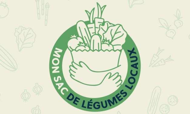 Entrevue avec Émilie Lapointe, projet pilote mon sac de légumes locaux