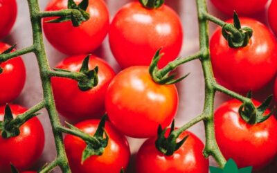 Savoura rachètera les actifs des Productions horticoles Demers