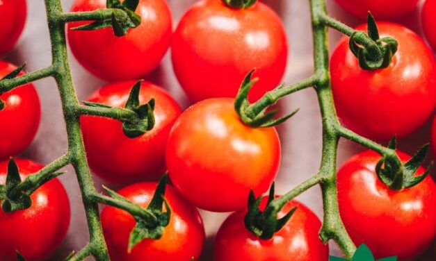 Savoura rachètera les actifs des Productions horticoles Demers