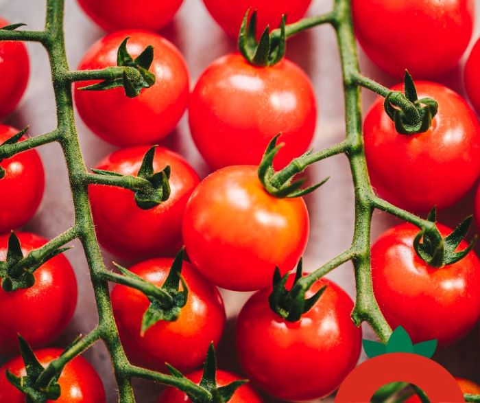 Savoura rachètera les actifs des Productions horticoles Demers