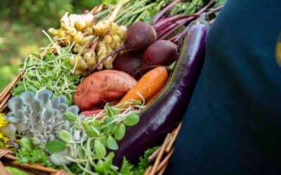 2 millions $ pour la mise en marché de proximité et l&rsquo;agrotourisme au Québec