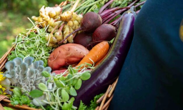 2 millions $ pour la mise en marché de proximité et l&rsquo;agrotourisme au Québec