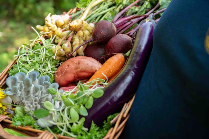 2 millions $ pour la mise en marché de proximité et l&rsquo;agrotourisme au Québec