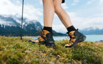 L.P. Royer acquiert Baffin